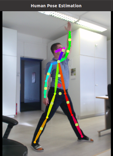 Human pose estimation